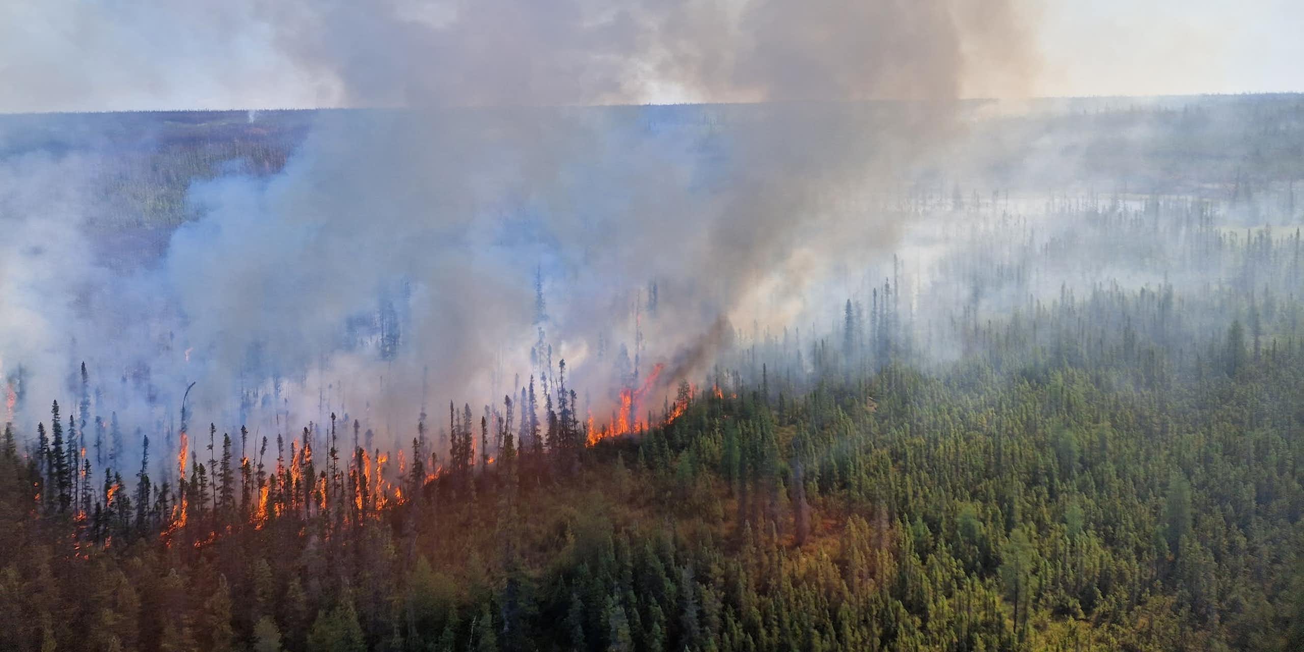 Photo d'un incendie de forêt prise depuis un avion