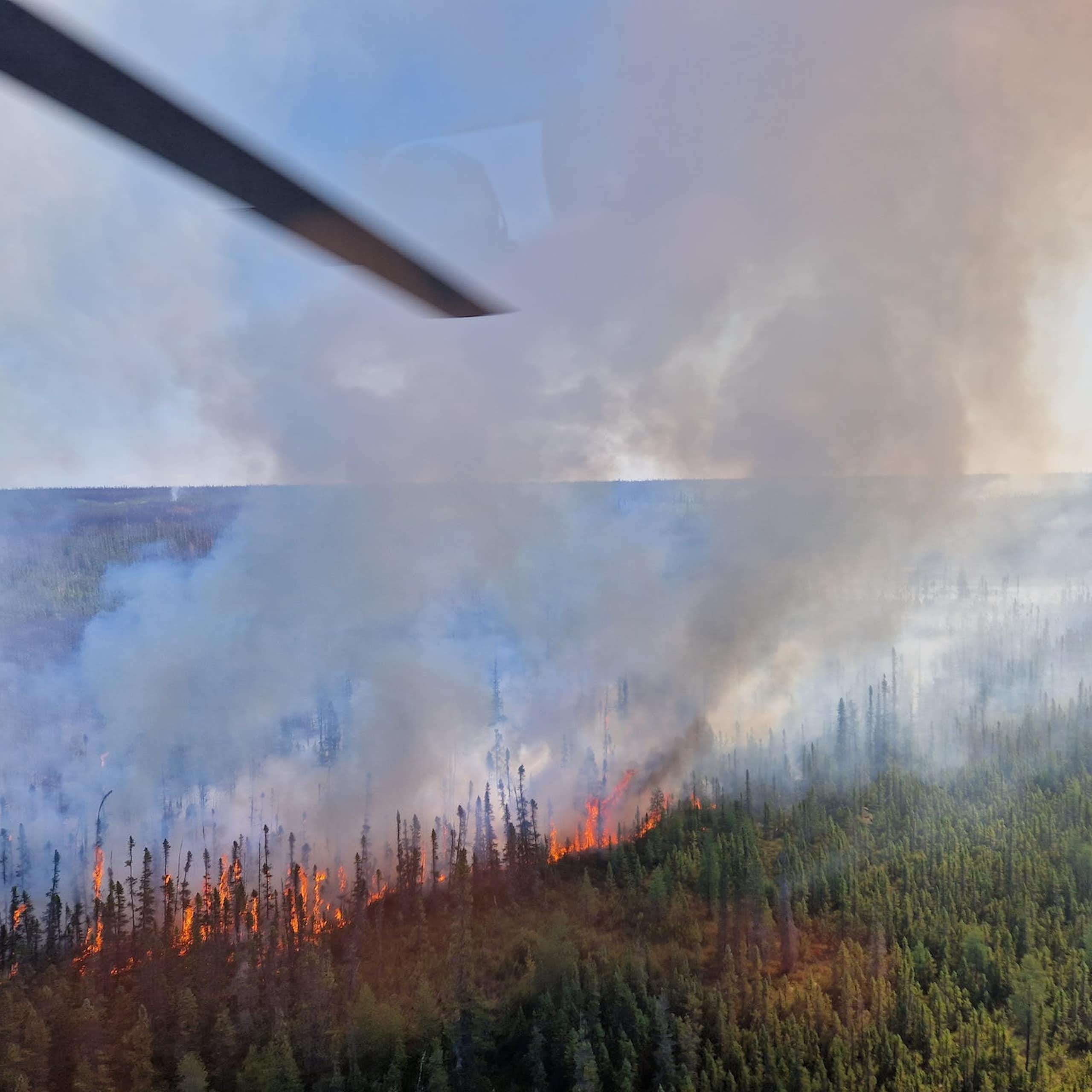 Photo d'un incendie de forêt prise depuis un avion