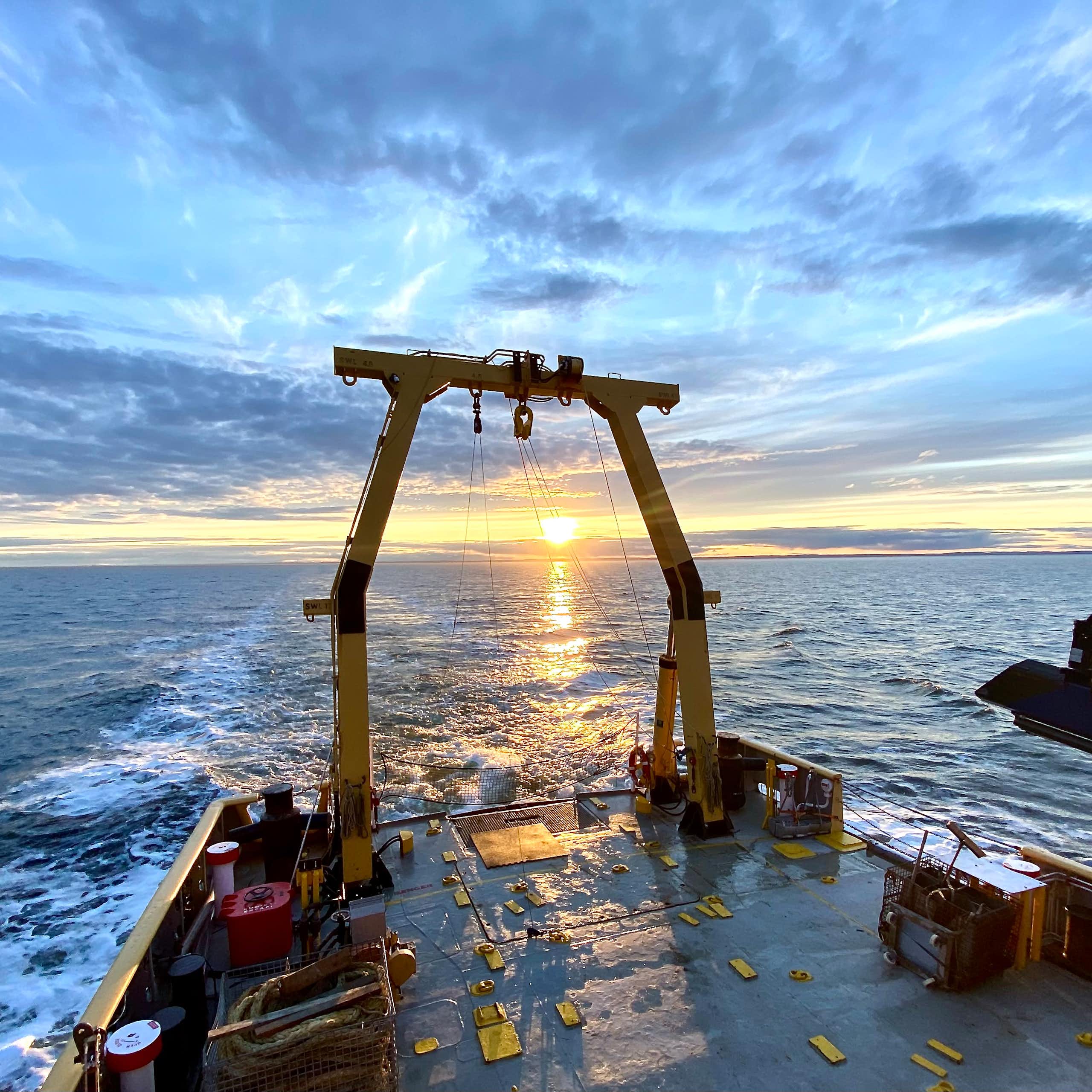 Le Saint-Laurent manque d’oxygène. Et l’impact est grand pour les petits animaux qui y vivent