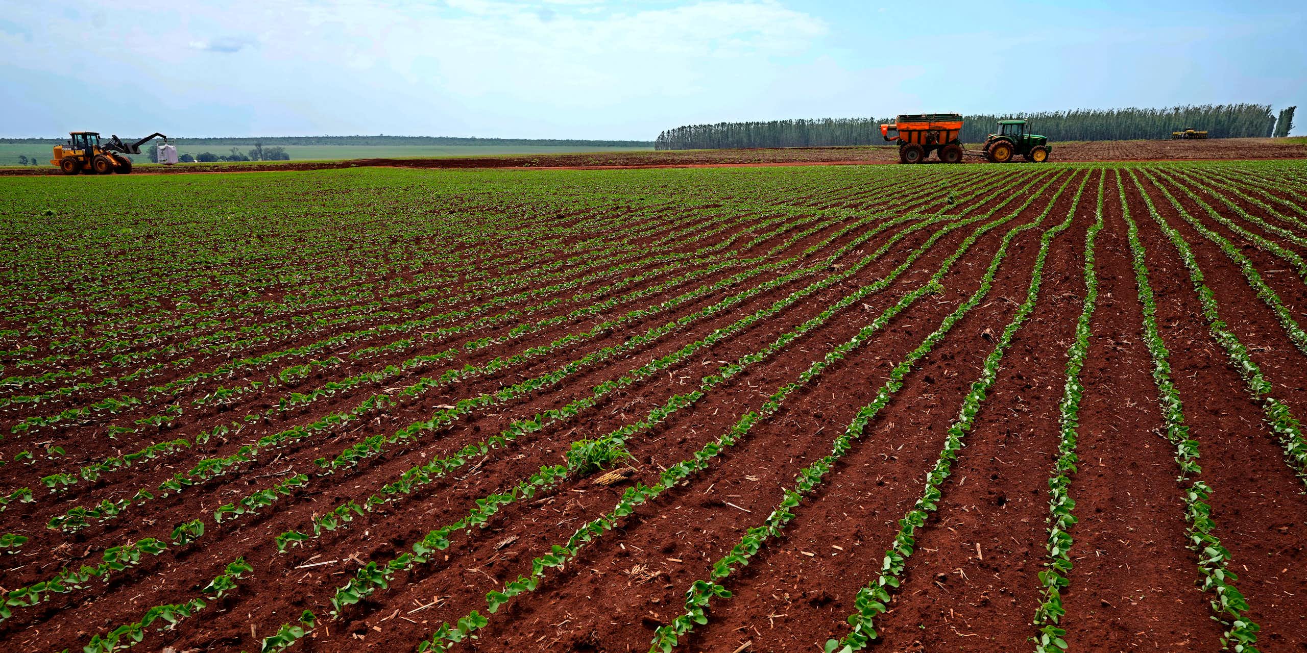 Huge field with soya plantations being treated by tractors