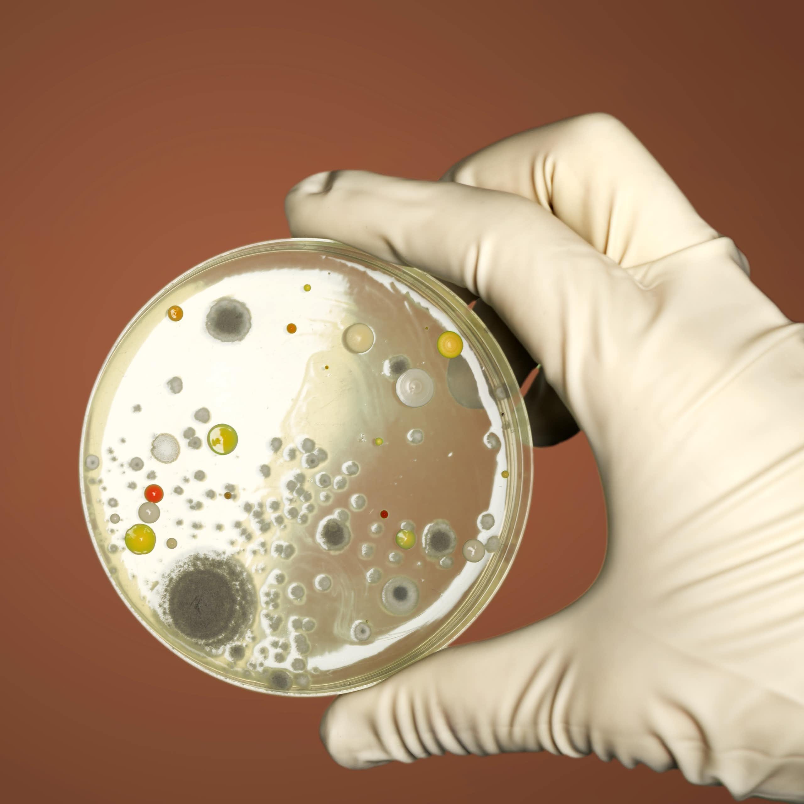 Une main gantée tenant une boîte 