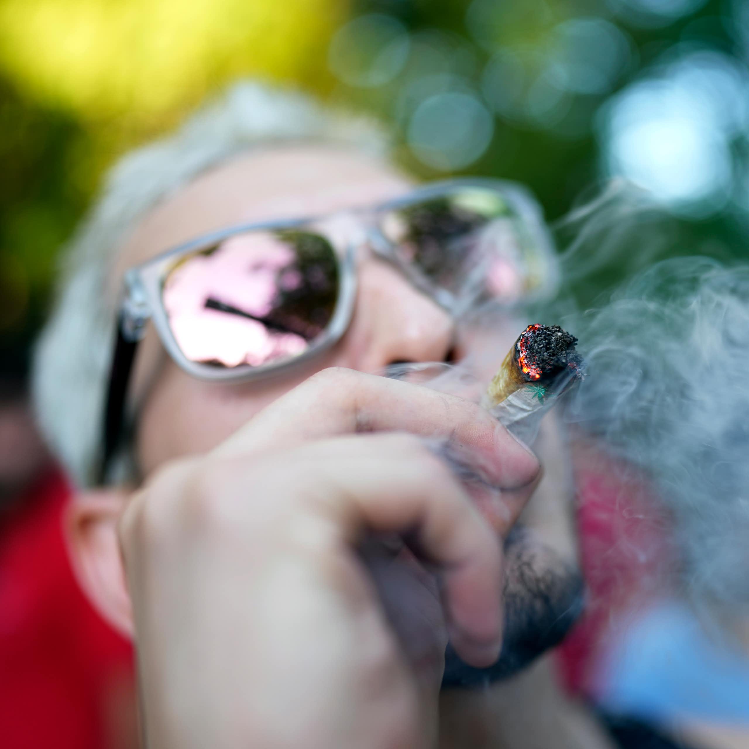 Potência da cannabis: novo elemento no debate sobre maconha e saúde mental