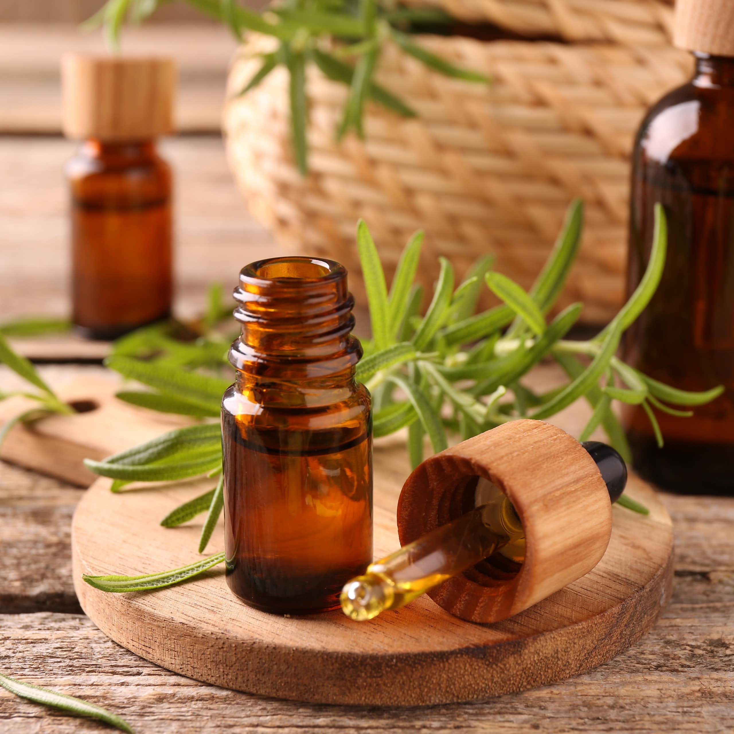 Radiografía del romero: de las cocinas a sus posibles usos contra infecciones resistentes a los antibióticos