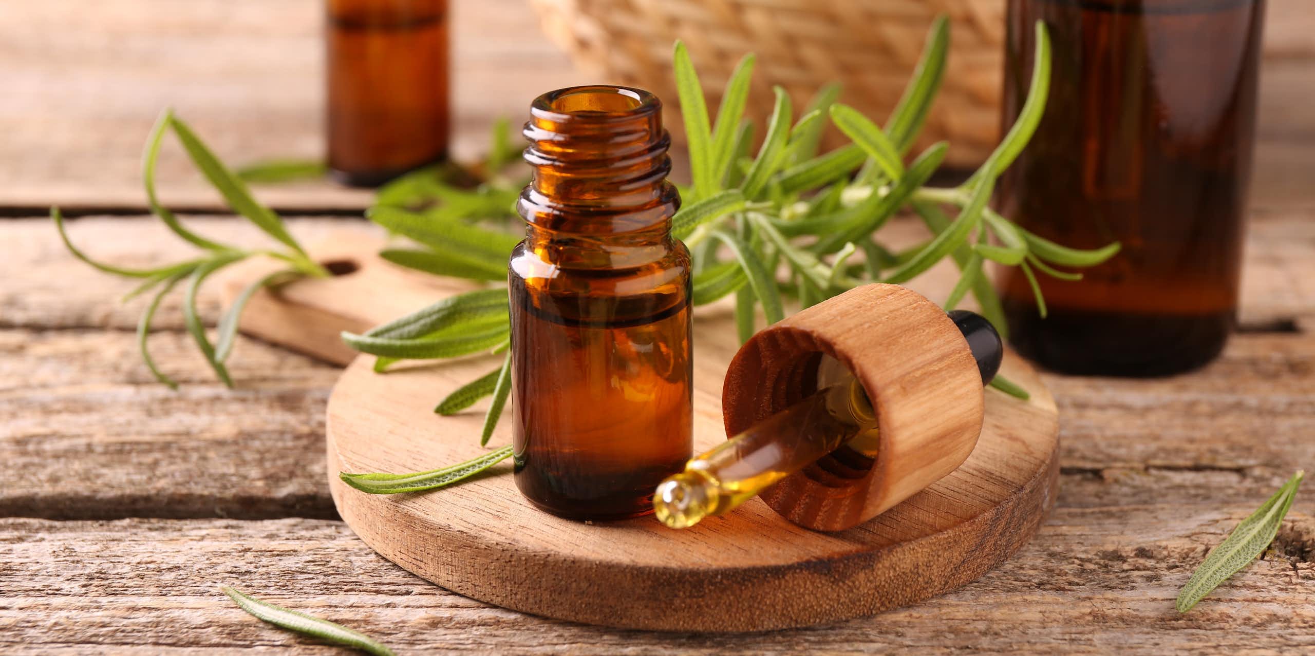 Radiografía del romero: de las cocinas a sus posibles usos contra infecciones resistentes a los antibióticos