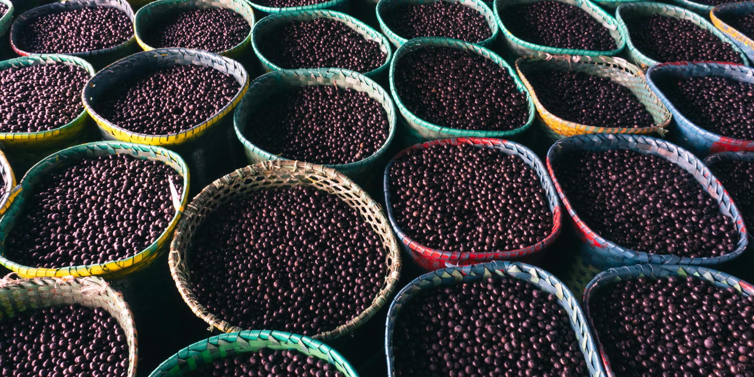 Las semillas de açai, un remedio natural contra la obesidad y la diabetes