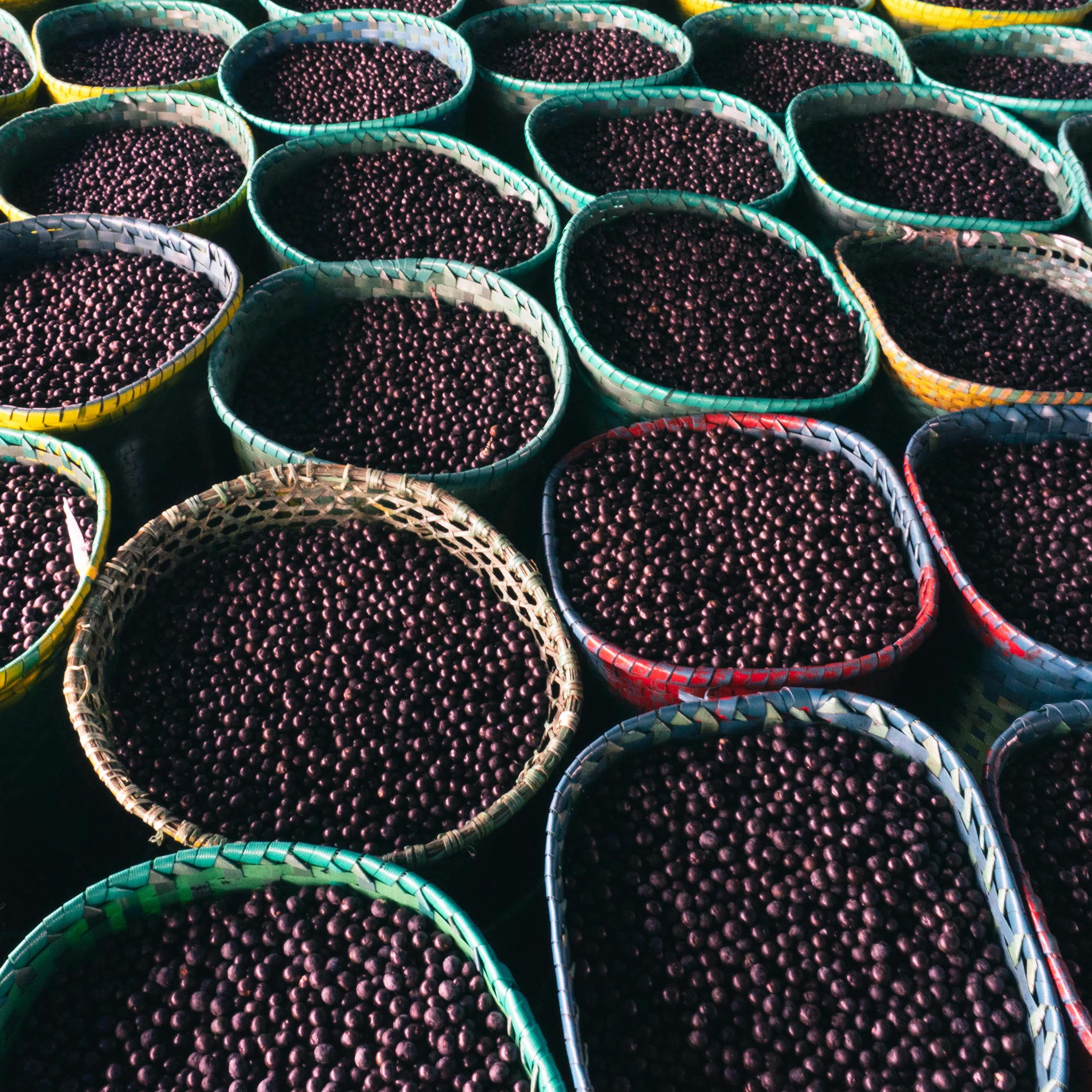 Las semillas de açai, un remedio natural contra la obesidad y la diabetes