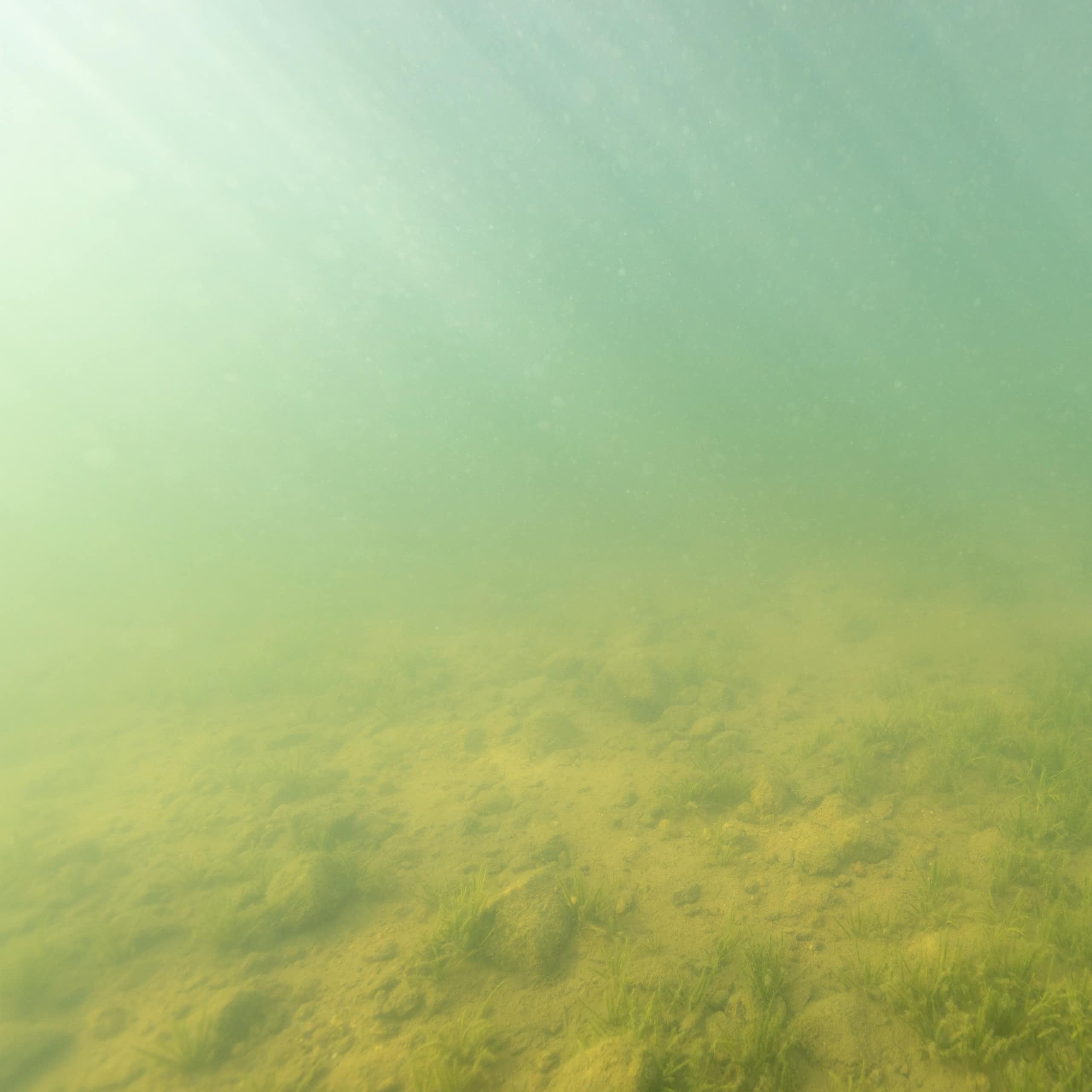 Vue du fonds d'un lac