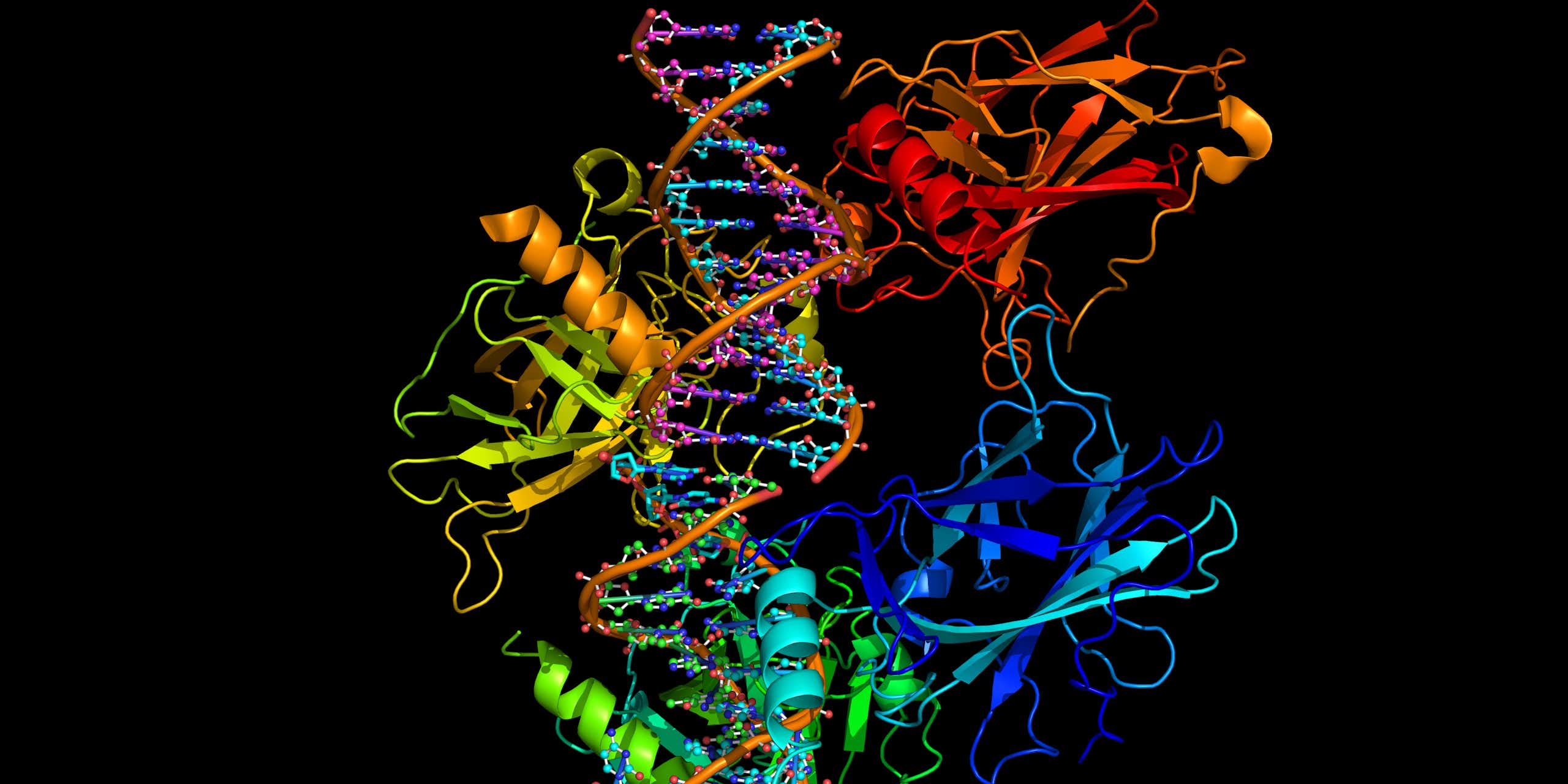 O estresse prolongado pode contribuir diretamente para o aparecimento e progressão do câncer