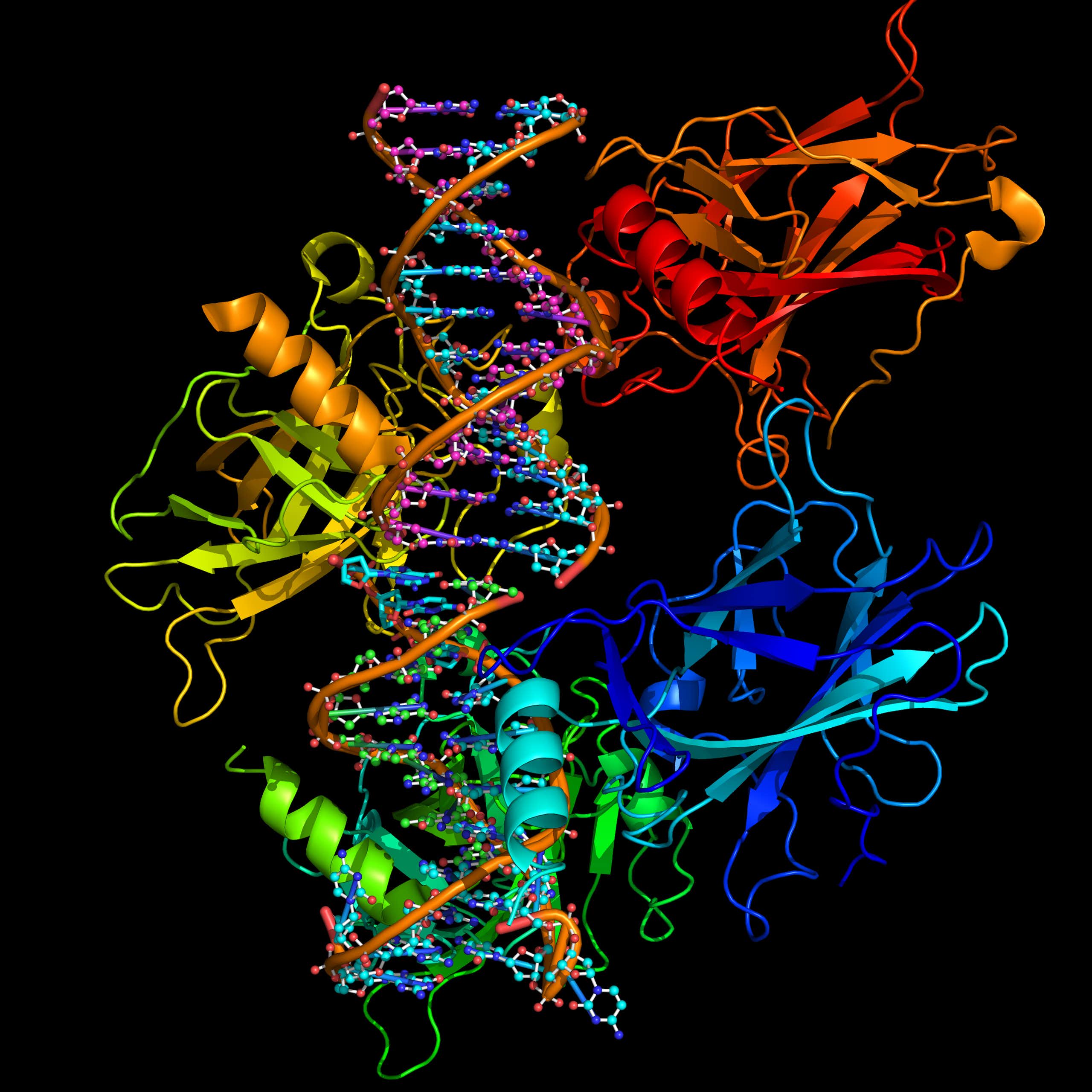 O estresse prolongado pode contribuir diretamente para o aparecimento e progressão do câncer