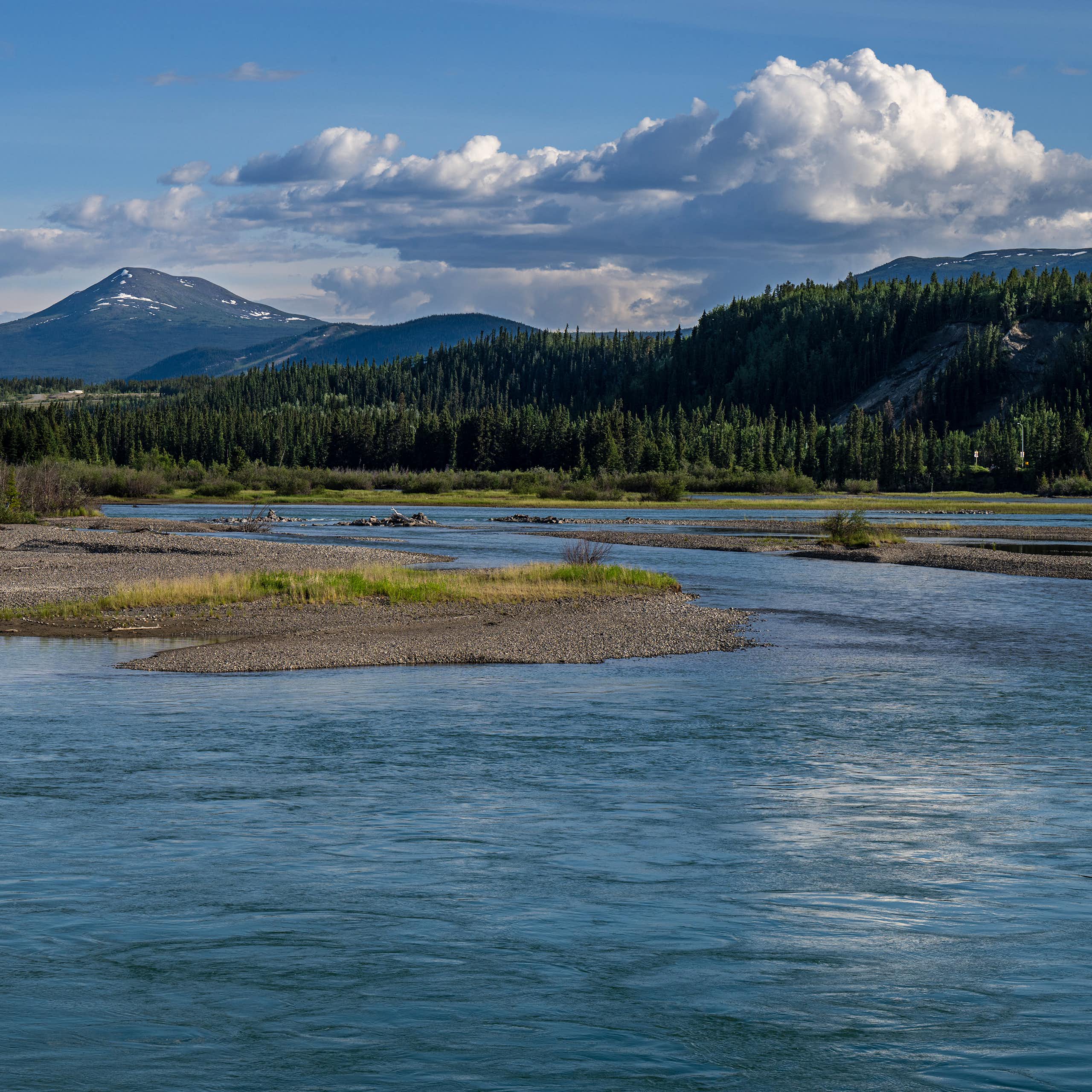 A wide blue river with mountains and pine trees surrounding it.