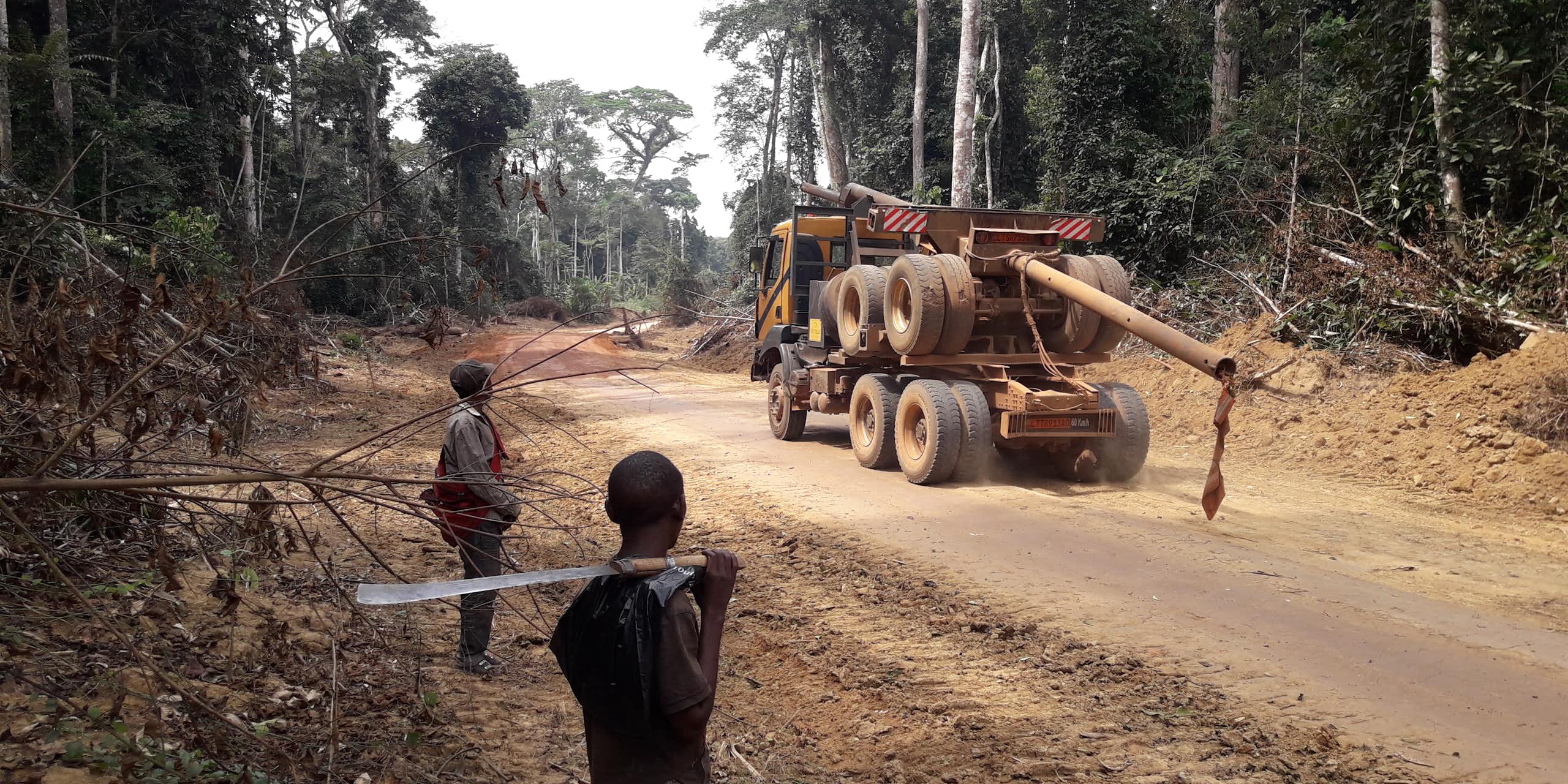 Two men stare at a giant logging truck on a dirt road between large trees