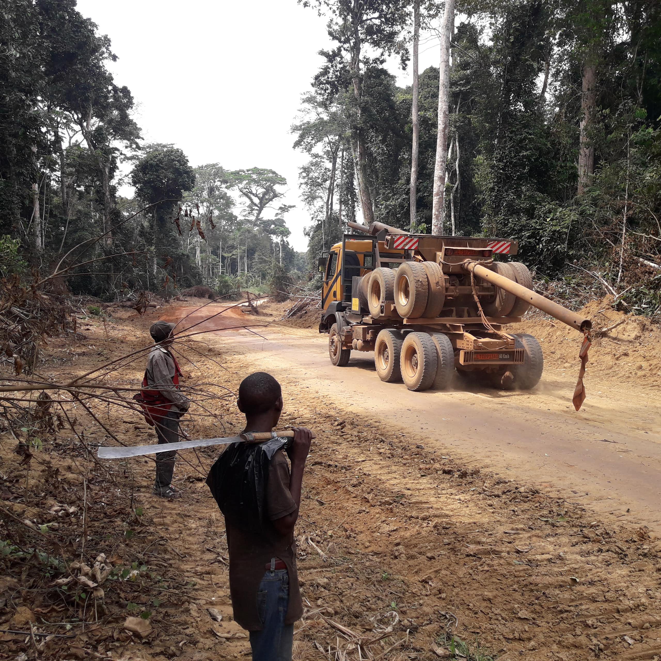 Two men stare at a giant logging truck on a dirt road between large trees