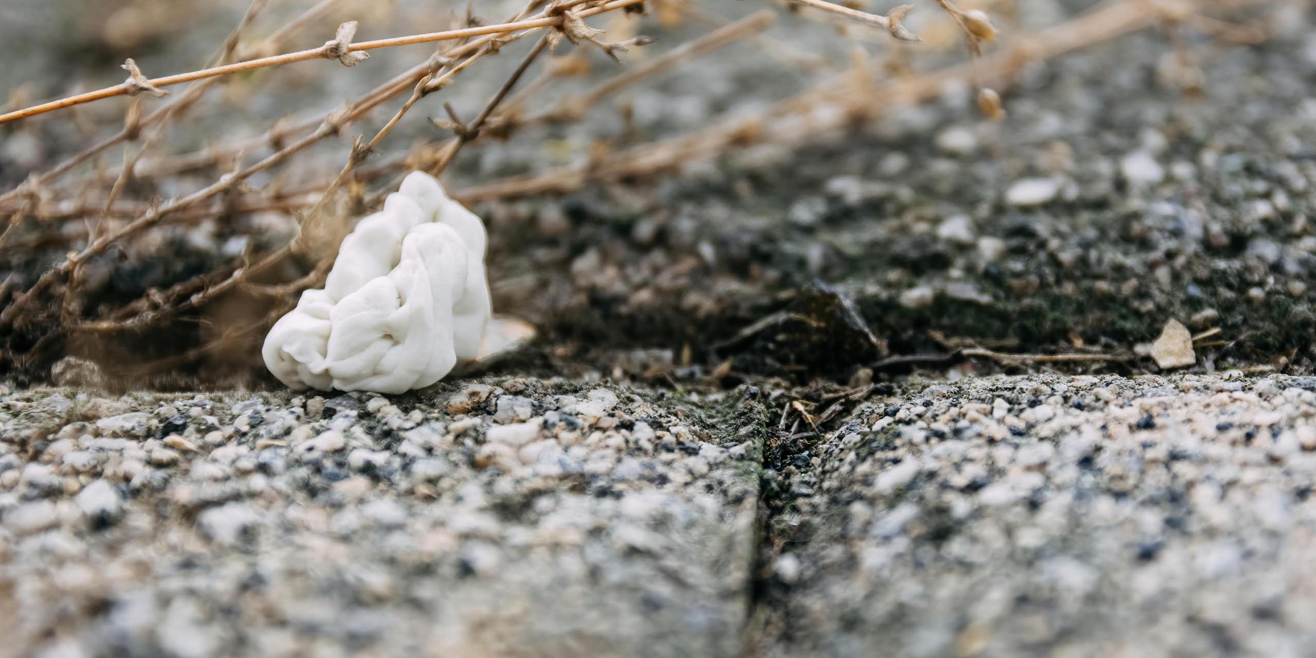 gum on paving near plant