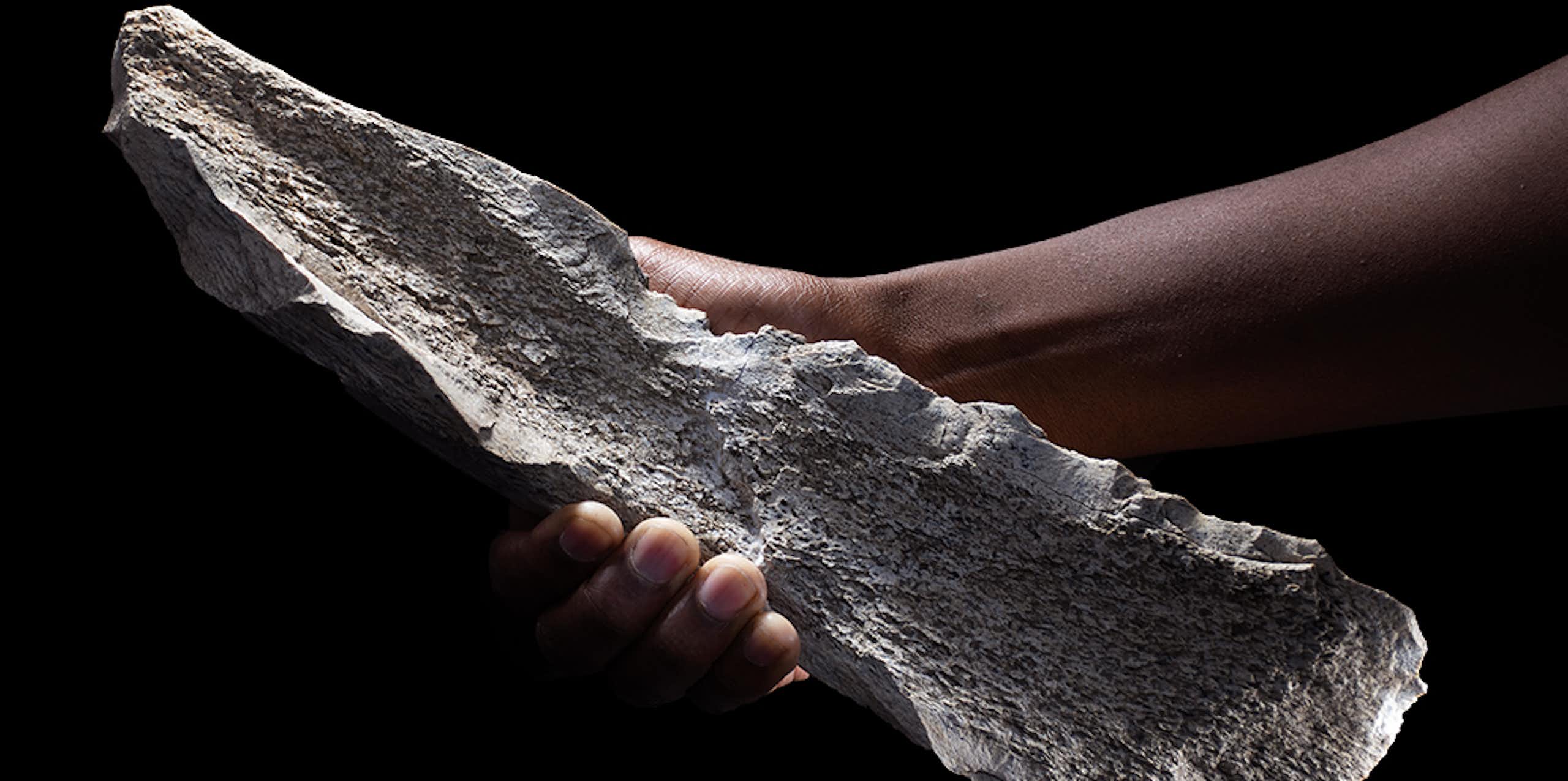 1.5 million-year-old bone tools discovered in Tanzania rewrite the history of human evolution