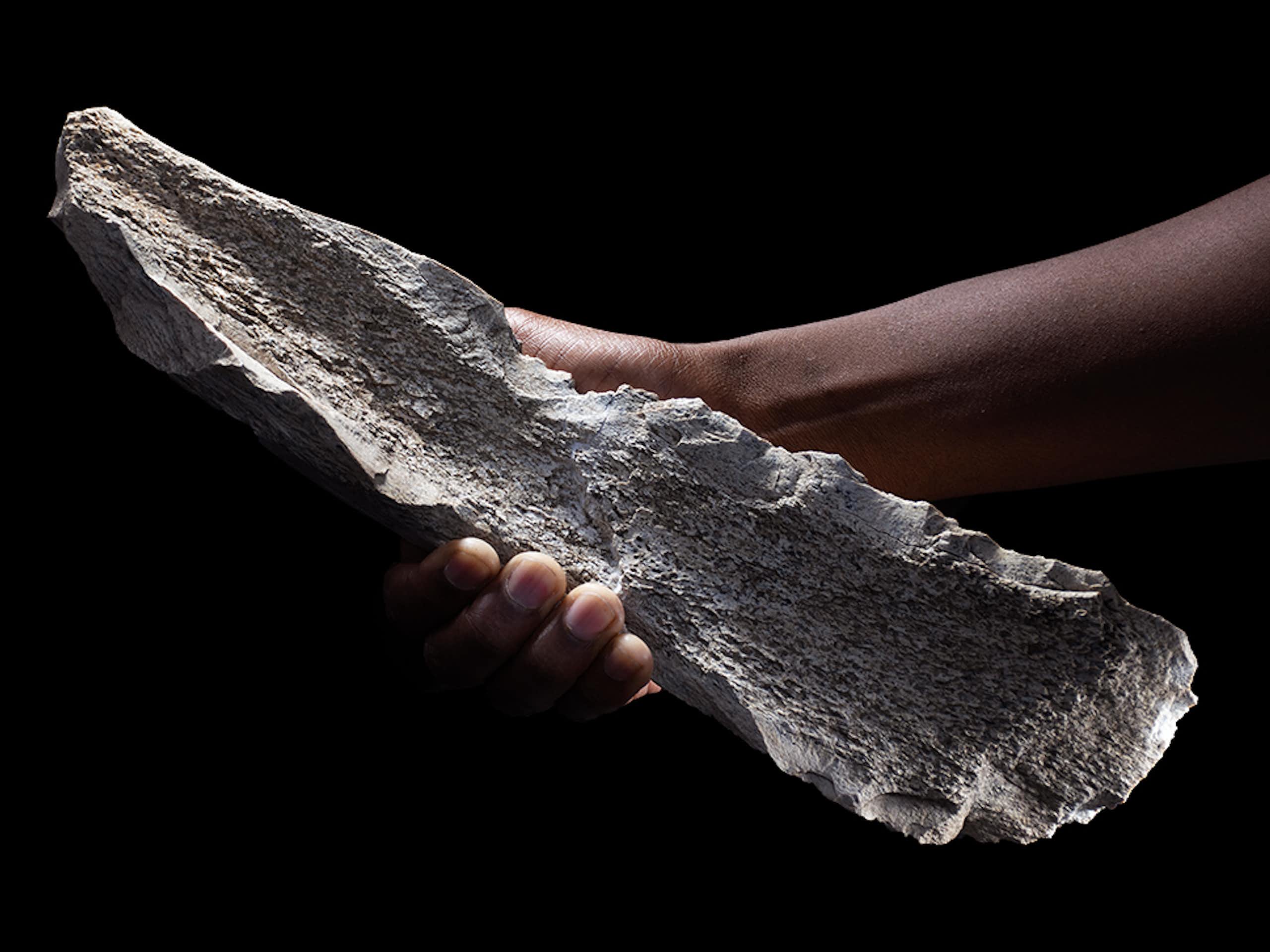 Hand holding a large piece of bone with flaked edges
