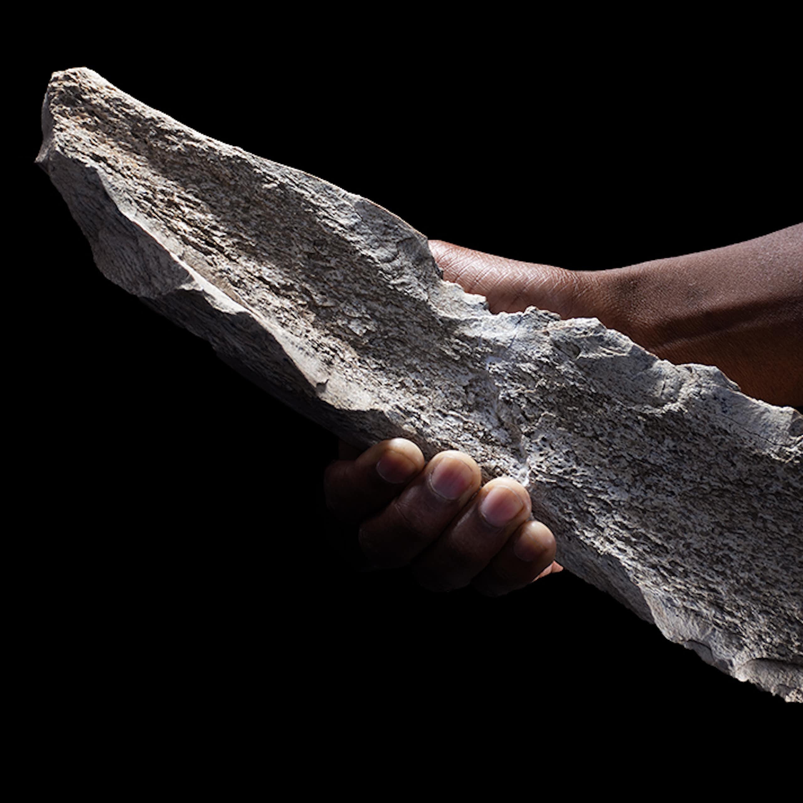 1.5 million-year-old bone tools discovered in Tanzania rewrite the history of human evolution