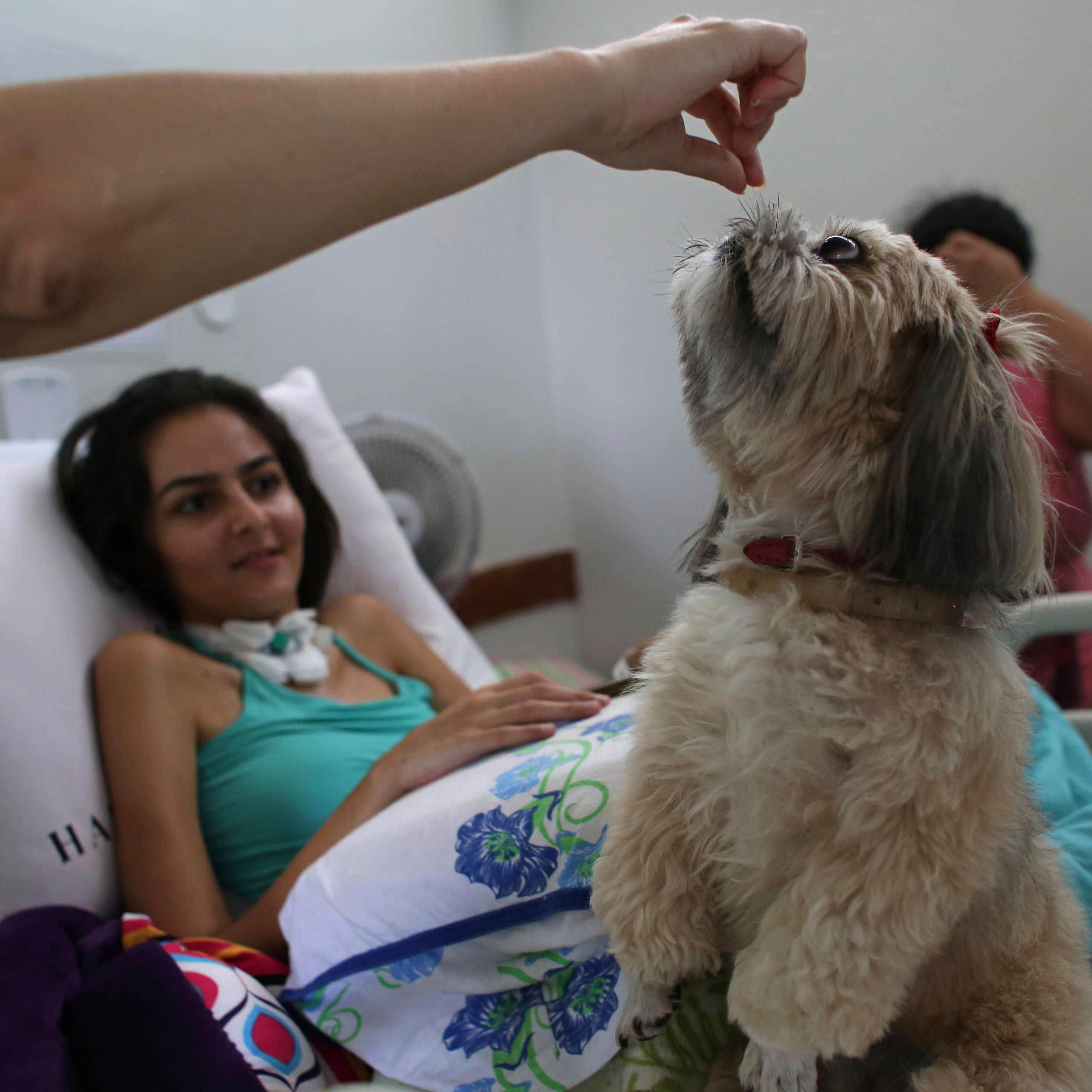 Terapia pet: estudos reforçam importância dos bichos de estimação para pacientes dos serviços públicos de saúde