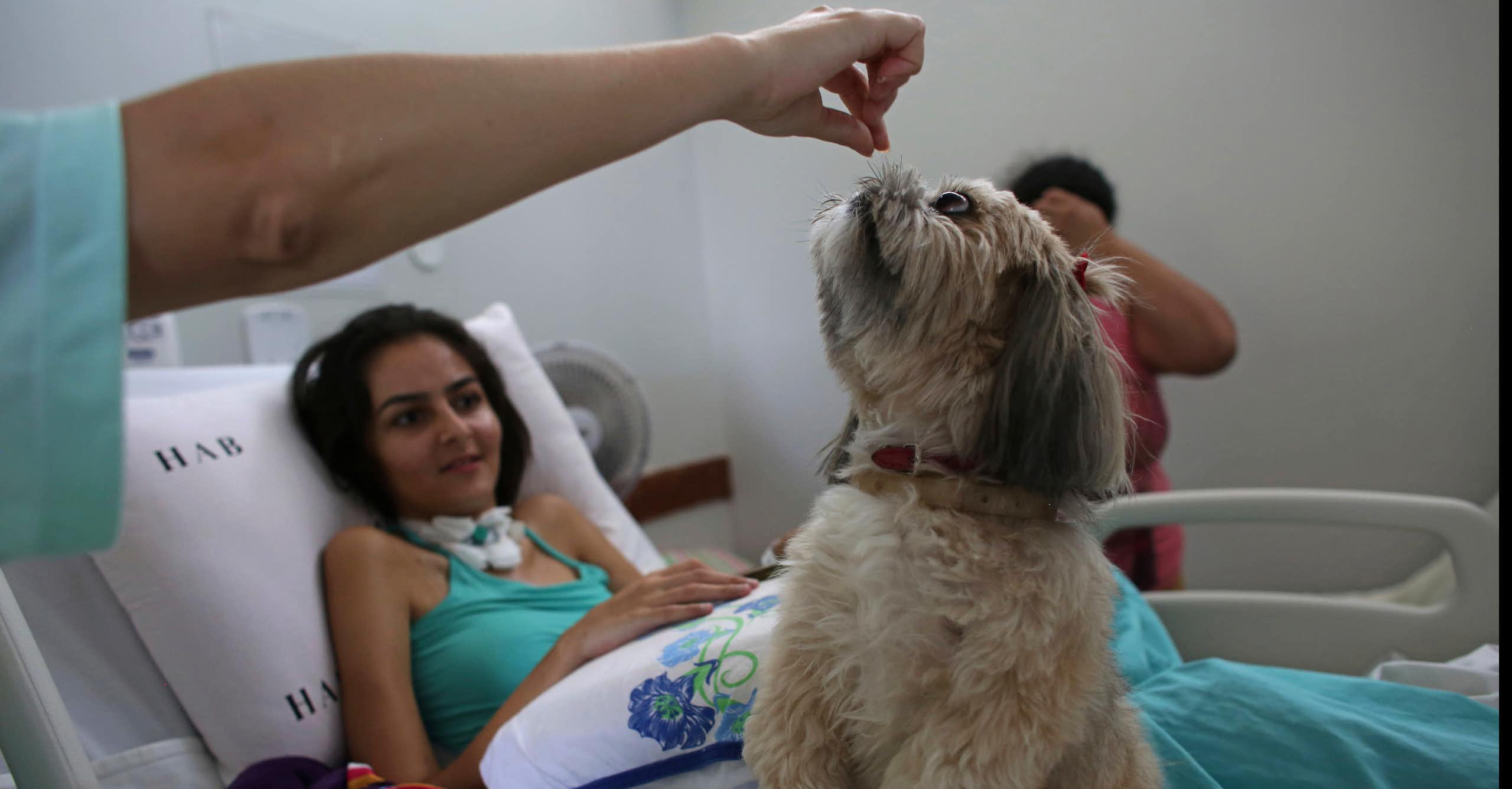 Terapia pet: estudos reforçam importância dos bichos de estimação para pacientes dos serviços públicos de saúde