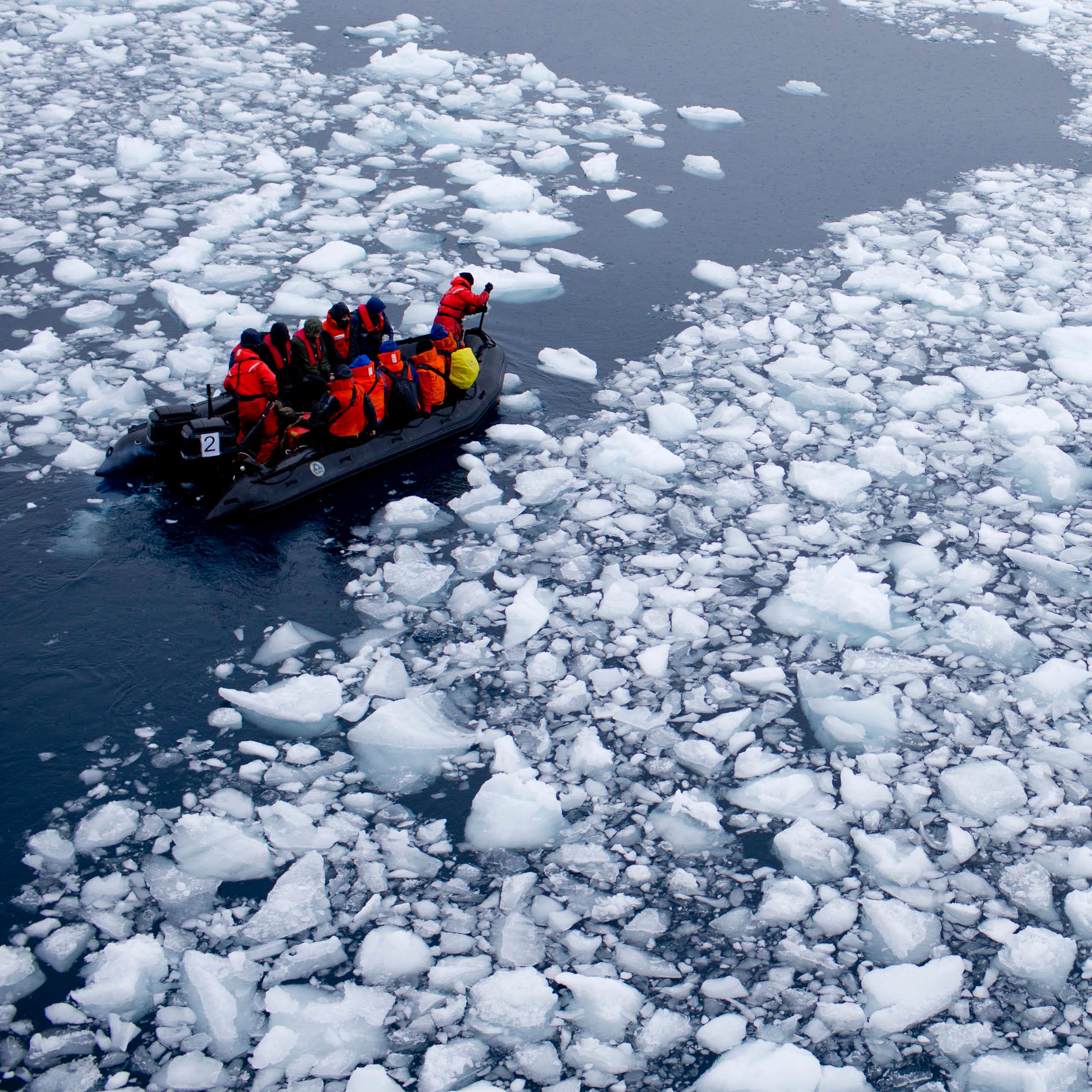 Educação Climática é chave para frear pontos de não retorno da Terra
