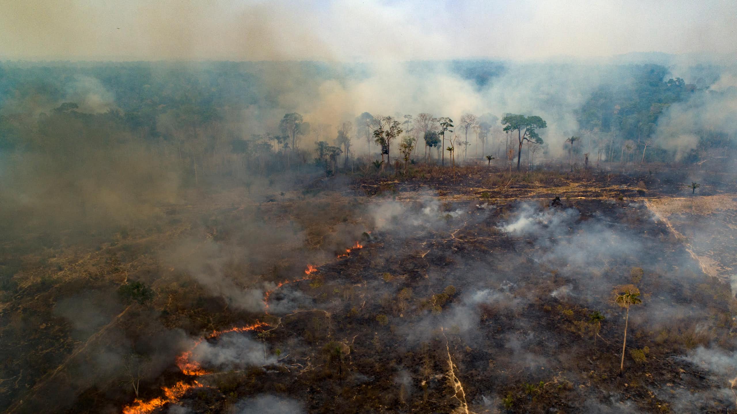 Queimadas na Amazônia: Ciência e saberes tradicionais precisam caminhar juntos para garantir manejo equilibrado do fogo