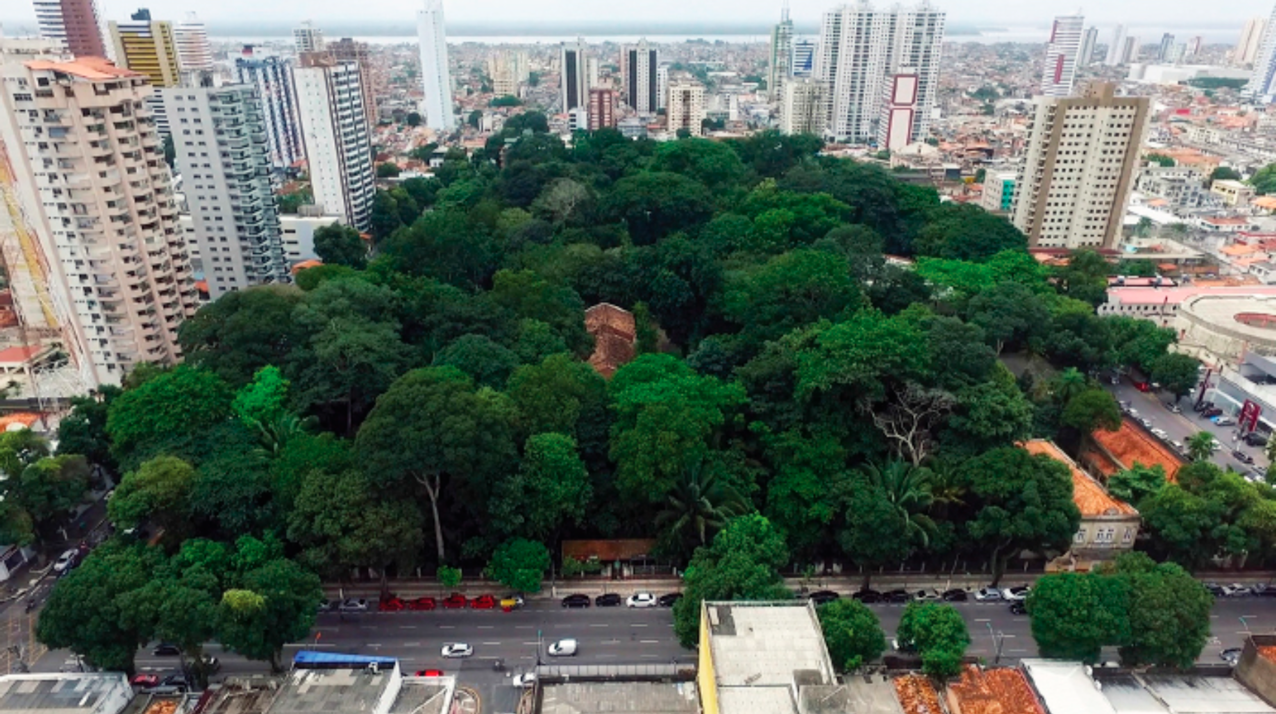 De Olho na COP 30: Ciência e Inovação terão papel central na conferência de Belém