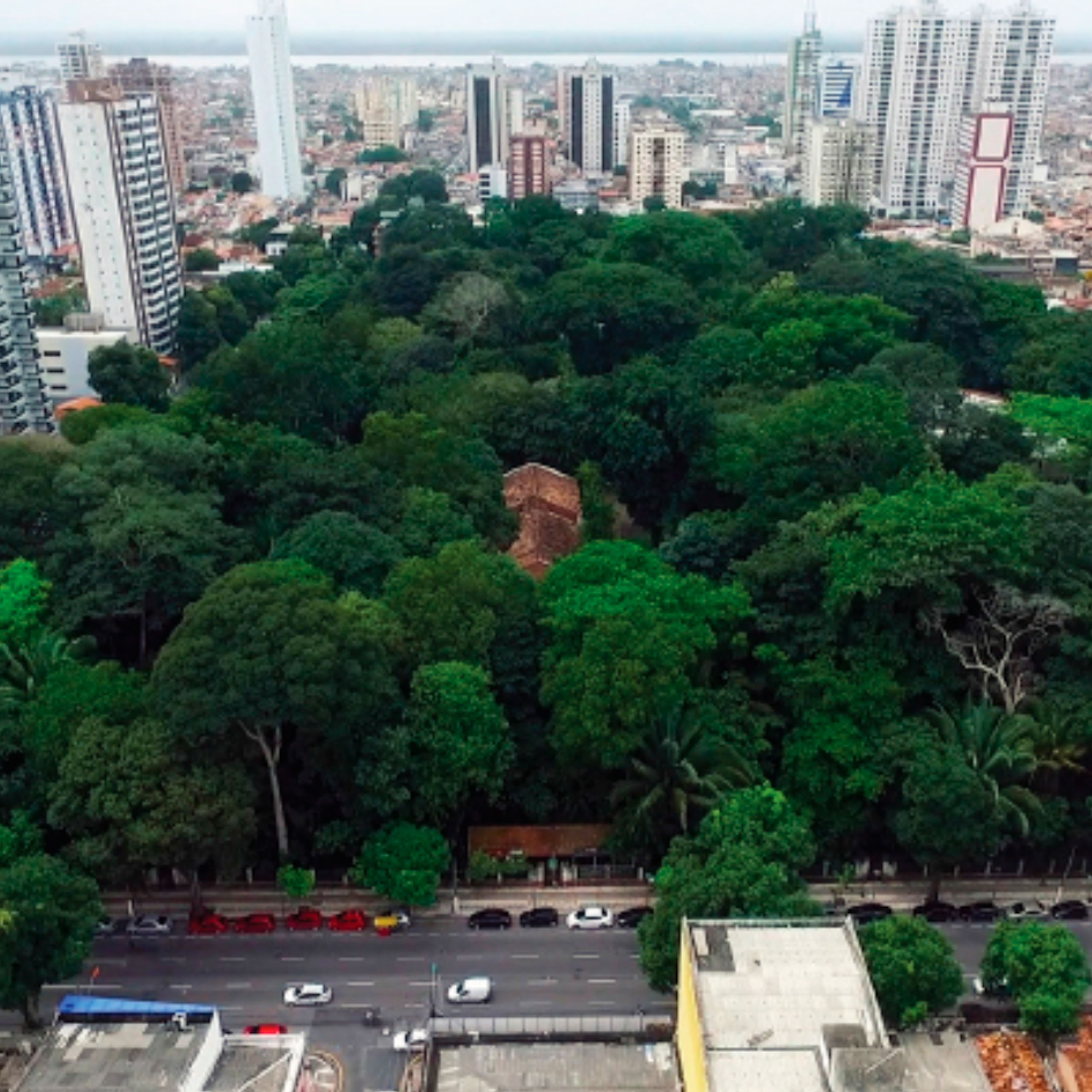 De Olho na COP 30: Ciência e Inovação terão papel central na conferência de Belém